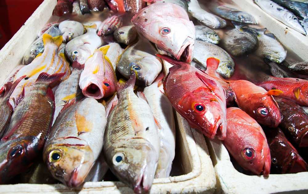 Рыбный рынок Джимбарана